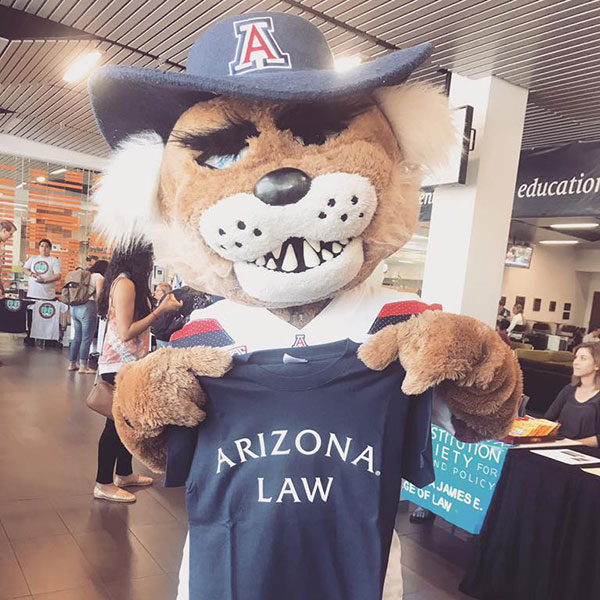 UA mascot Wilbur at Arizona Law