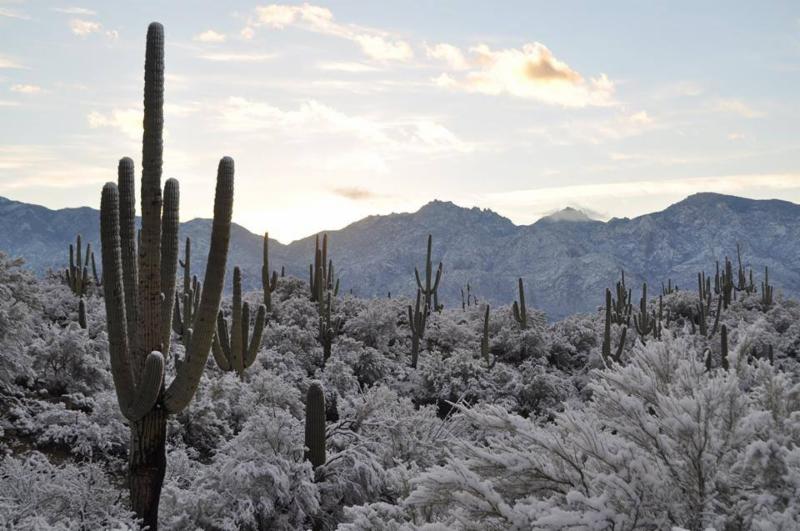 Photo courtesy of the UA Biosphere 2.