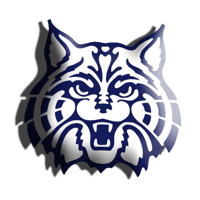 Wildcat